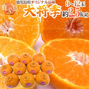 楽天市場 みかん 産地 都道府県 鹿児島 人気ランキング1位 売れ筋商品